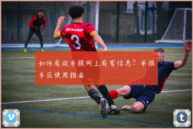 如何有效举报网上有害信息？举报专区使用指南