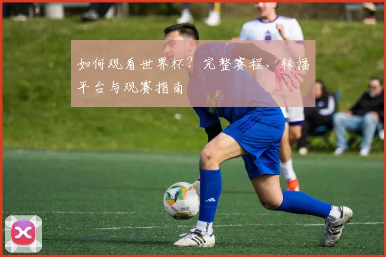 如何观看世界杯？完整赛程、转播平台与观赛指南