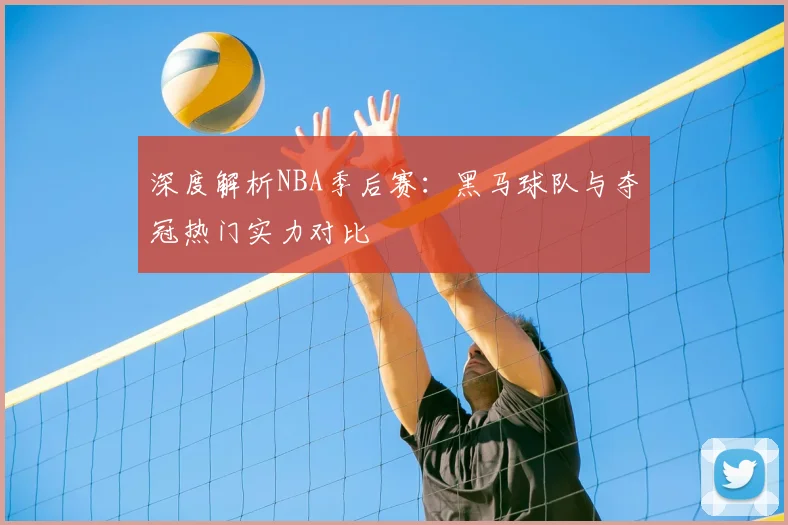深度解析NBA季后赛：黑马球队与夺冠热门实力对比