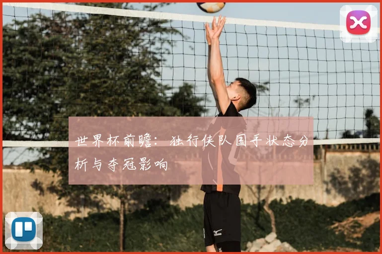 世界杯前瞻：独行侠队国手状态分析与夺冠影响